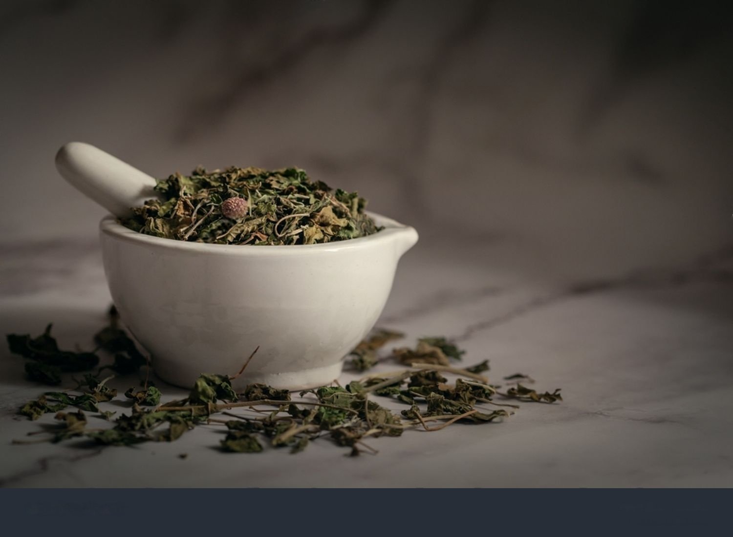 The Role of Gurmar in Blood Sugar Management