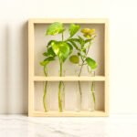 Wall Hanging Glass Planter | Pinewood 4 Test Tube Propagation Station & Tabletop Terrarium for Home, Kitchen & Wedding Decor