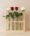 Wall Hanging Glass Planter | Pinewood 4 Test Tube Propagation Station & Tabletop Terrarium for Home, Kitchen & Wedding Decor - Image 2