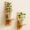 Small Wooden Wall Shelves for Plants – Set of 2 | Mini Floating Wall Shelf | 1-Tier Each | Wall Mounted Decorative Rack | Beige | Ideal for Succulents, Candles, Home Décor - Image 3