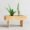 Small Wooden Decking Planter – Handmade by Rennover | D8cm x W45.5cm x H25.5cm - Image 3