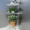 White Tektona 3 tier Corner stand - Image 4