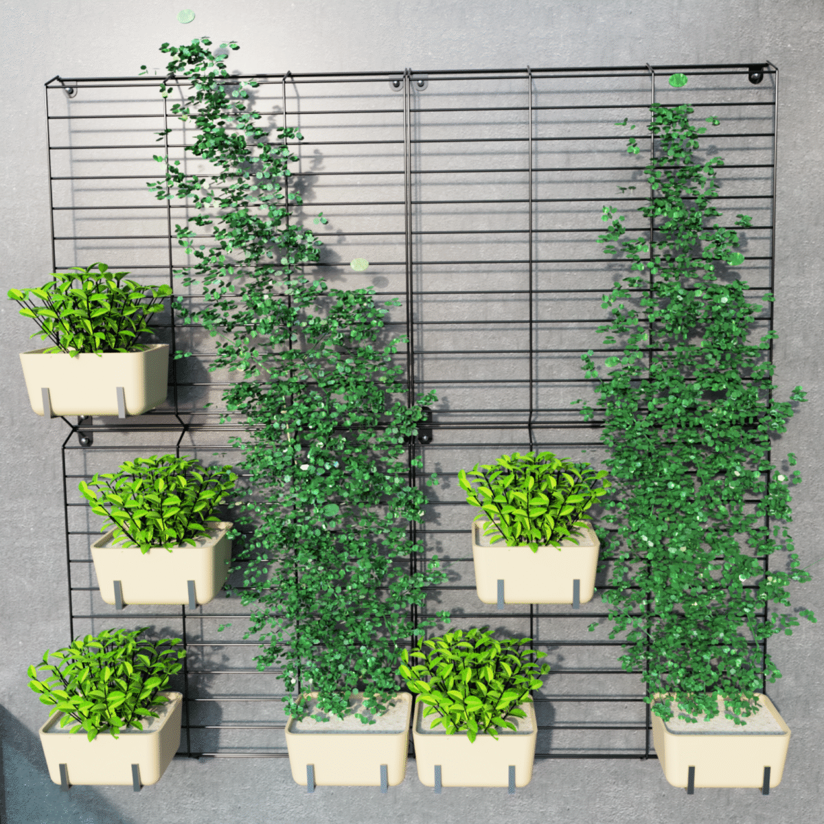 Black Grellis Grid Wall Mounted Plant stand (Set of 4) - Image 1