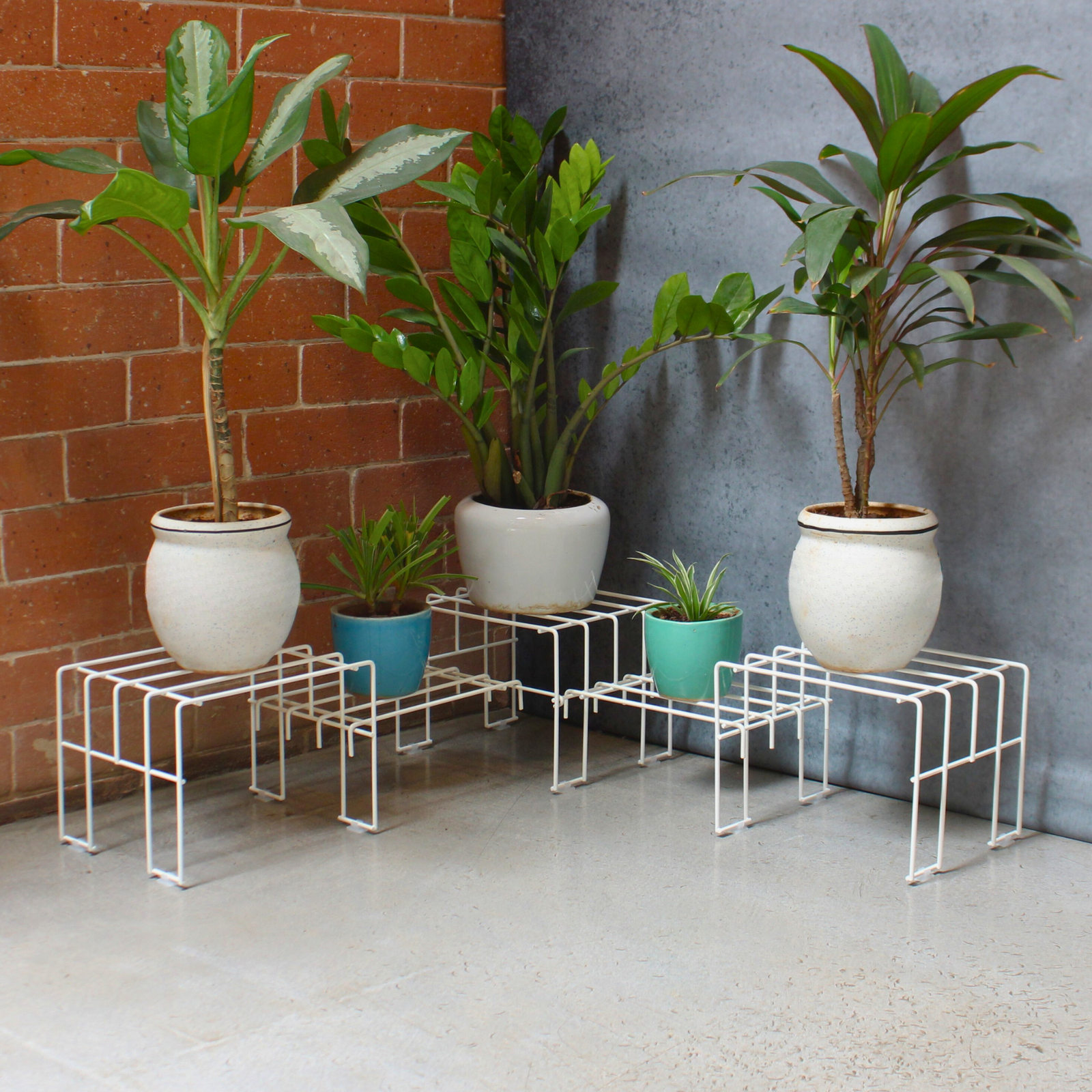 1_313051f4-4a00-4bb2-8744-2163760636aa.png White Moso Corner plant stand for 5 pots - Image 1