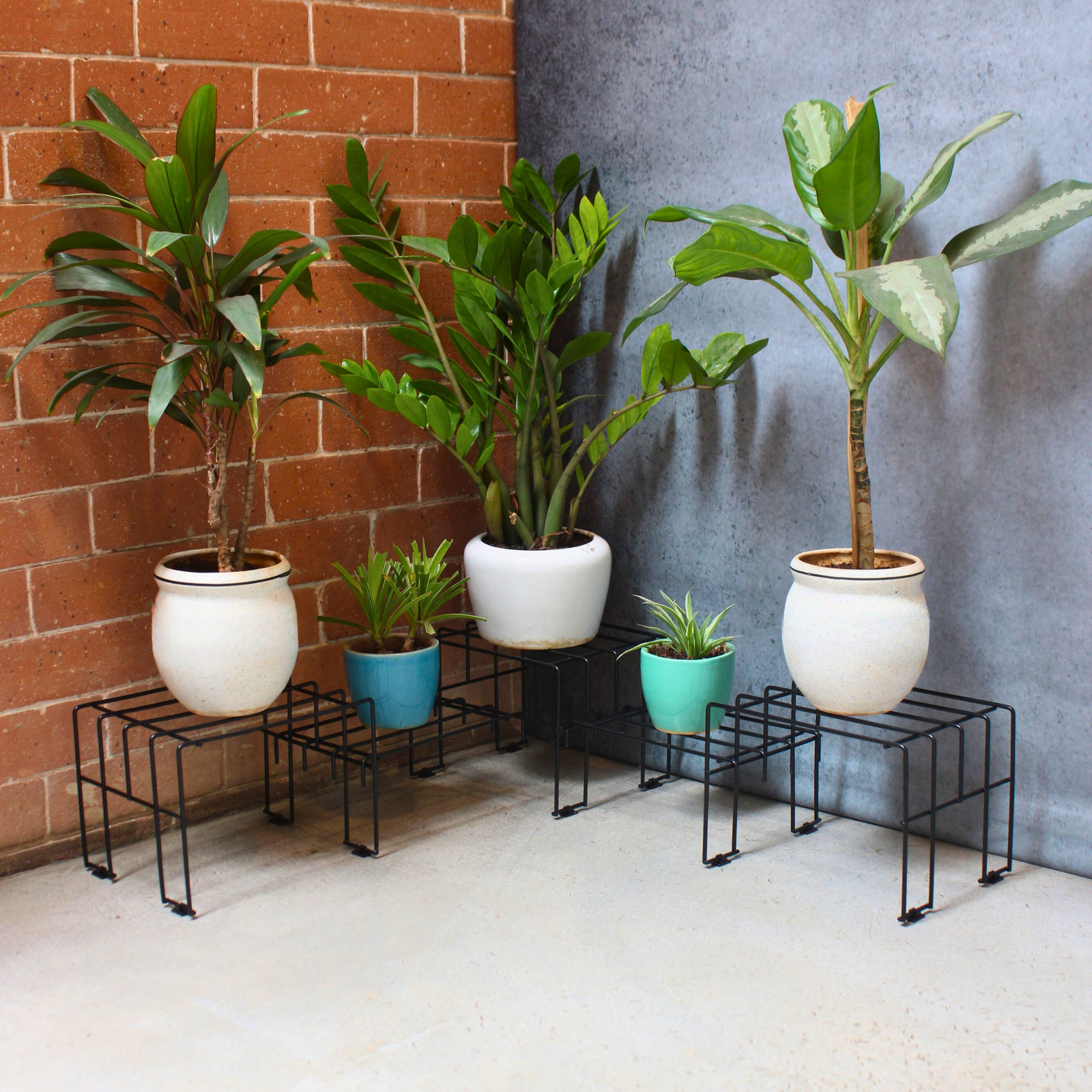 1_53751e33-cab5-456f-87a9-46dcbad6bf32.png Black Moso Corner plant stand for 5 pots - Image 1