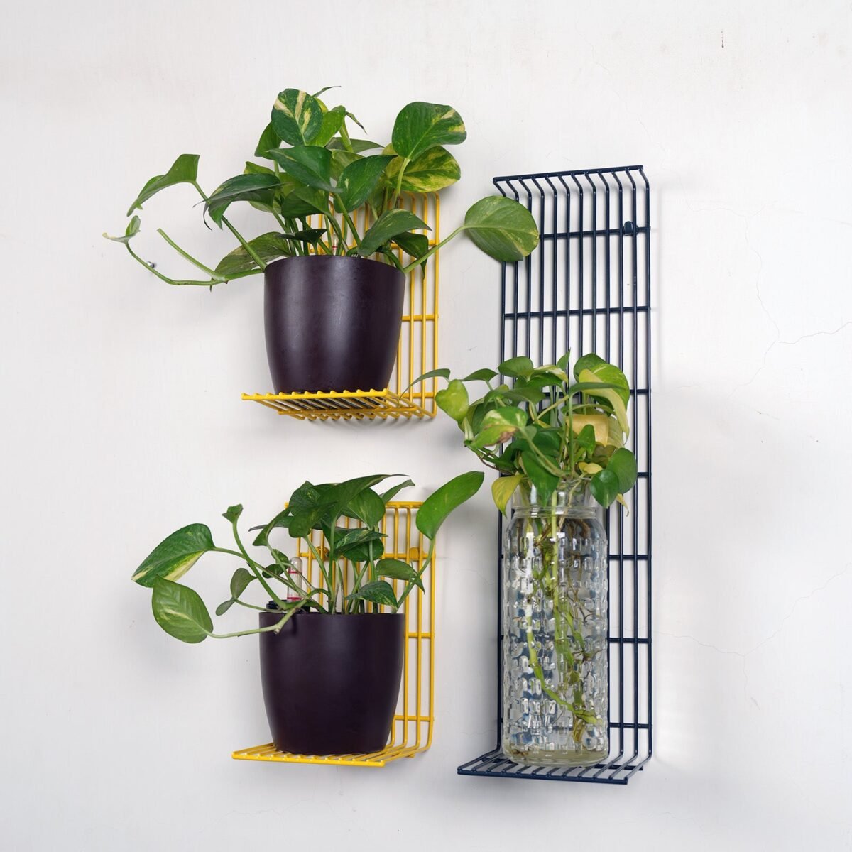 Yellow and Grey Dunlin Combo wall shelves - Image 1