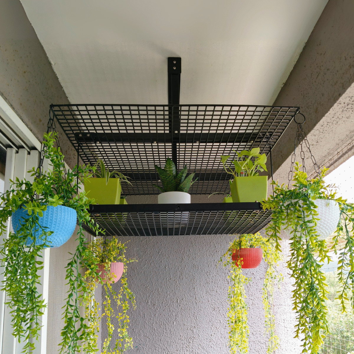 Black Sora Ceiling-Mounted Rack for Pots & Hanging Plants - Image 1