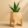 Handcrafted Pinewood Planter with Stand – Solid Wood, Water-Resistant & Stylish for Home & Office