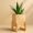 Handcrafted Pinewood Planter with Stand – Solid Wood, Water-Resistant & Stylish for Home & Office