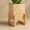 Handcrafted Pinewood Planter with Stand – Solid Wood, Water-Resistant & Stylish for Home & Office - Image 4
