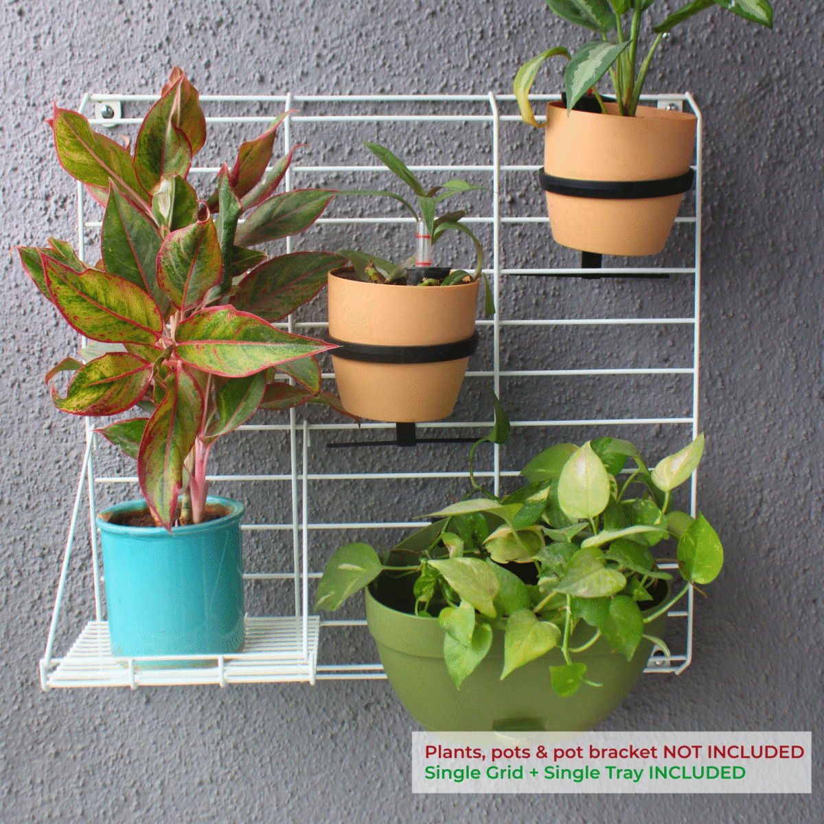 White Grellis Grid Wall Mounted Plant stand (Set of 1) - Image 1