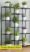 Plant Stands for Outdoor Balcony, Flower Pot Stand for Indoor Plants, Large Metal Planter Stand for Living Room, home decor, Indoor & Outdoor plants, 11 Tier, (Black) - Image 6
