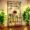 Plant Stands for Outdoor Balcony, Flower Pot Stand for Indoor Plants, Large Metal Planter Stand for Living Room, home decor, Indoor & Outdoor plants, 6 Tier, (PS042-BLK)