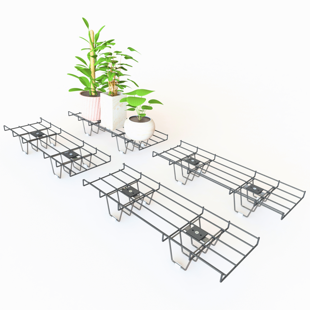 Black Sorbus Plant stand (pack of 4) - Image 1
