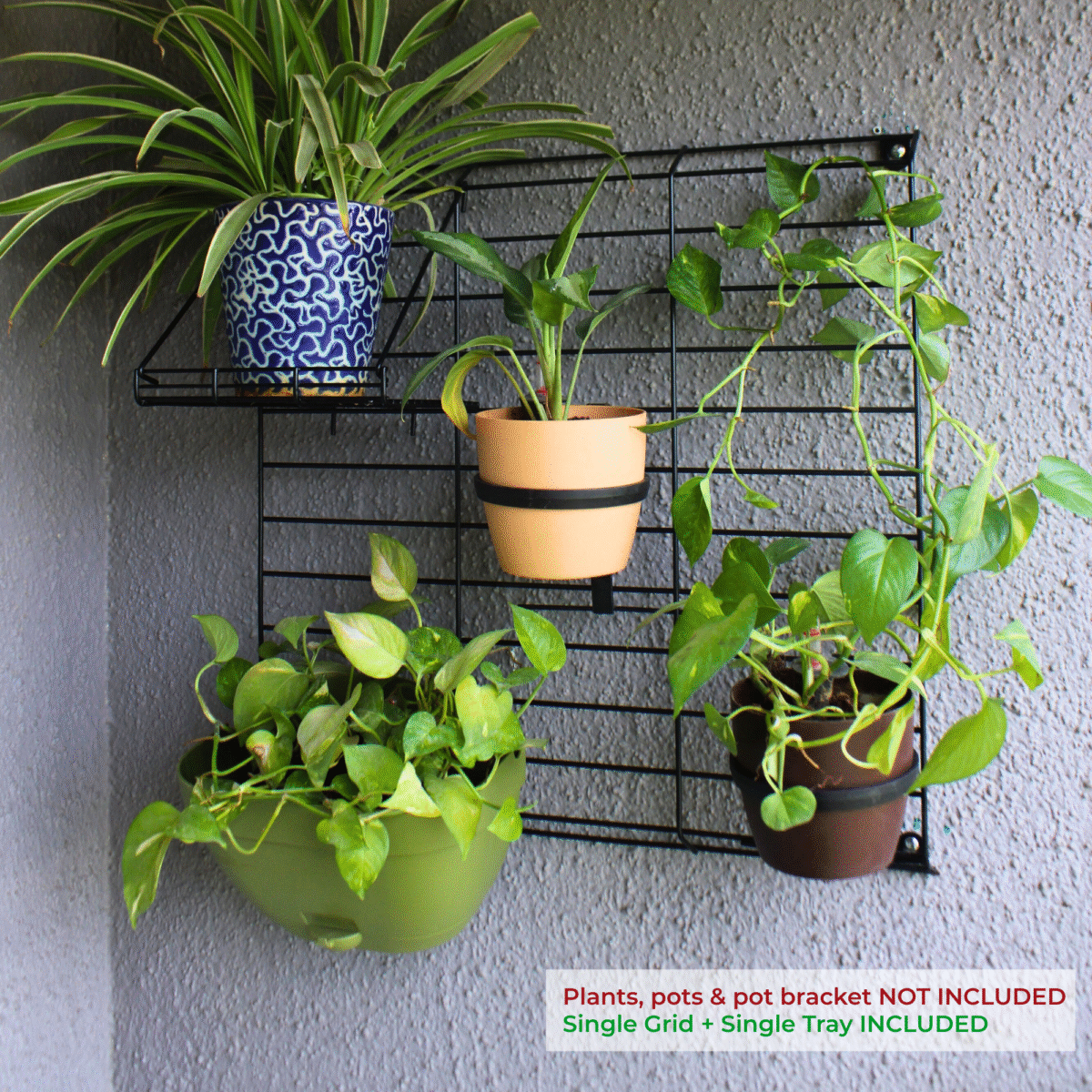 Black Grellis Grid Wall Mounted Plant stand (Set of 1) - Image 1