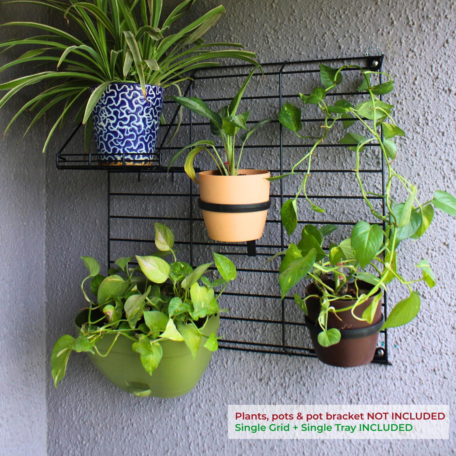 Set1_7bb00098-a0fb-4eb3-a684-cf9d77d882da.png Black Grellis Grid Wall Mounted Plant stand (Set of 1) - Image 1