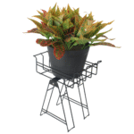 Black Nelumbo Plant stand